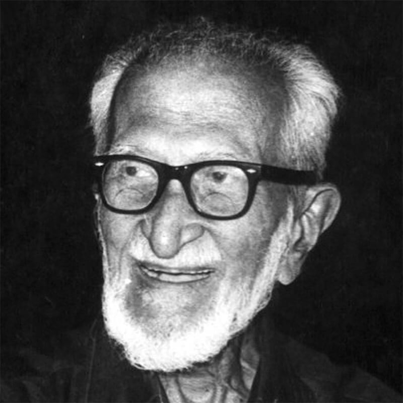 Salim Ali