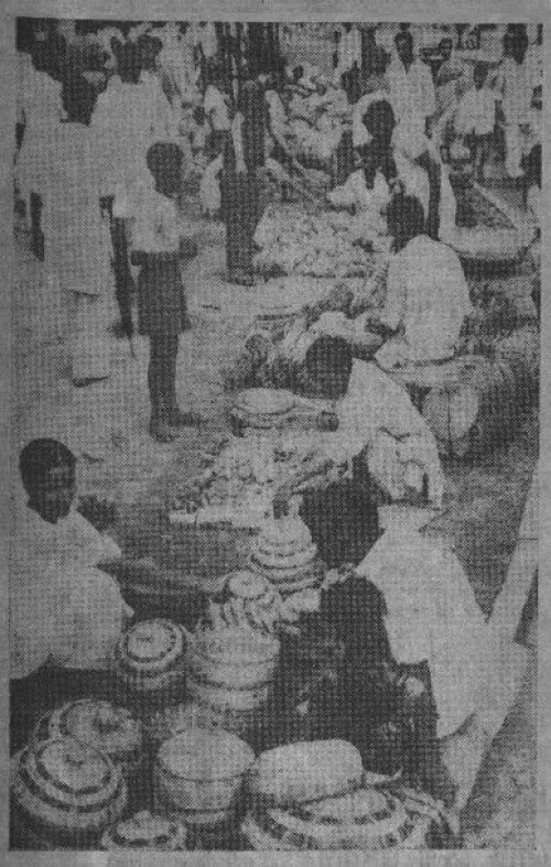 rath of moulali calcutta 1966